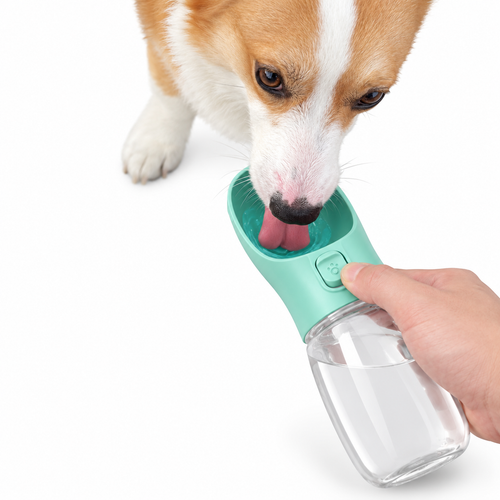 On-The-Go Water Bottle